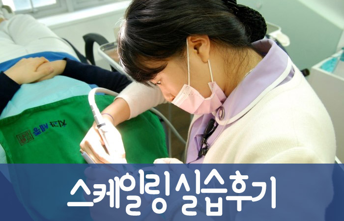 스케일링제목.jpg