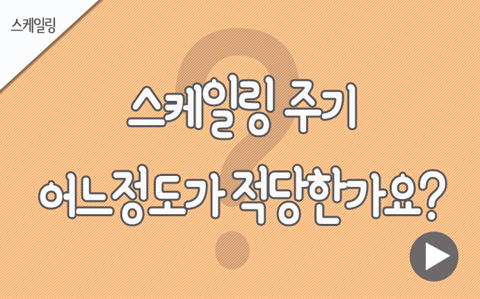 9스케일링 얼마만에 하는것이.jpg